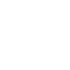 Gauge Icon