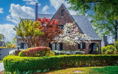 Exterior Renovation Services to Boost Curb Appeal