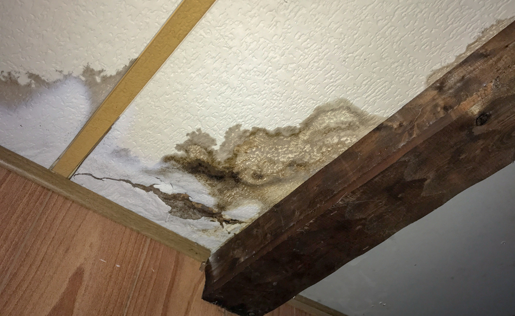 Water Damage in Building